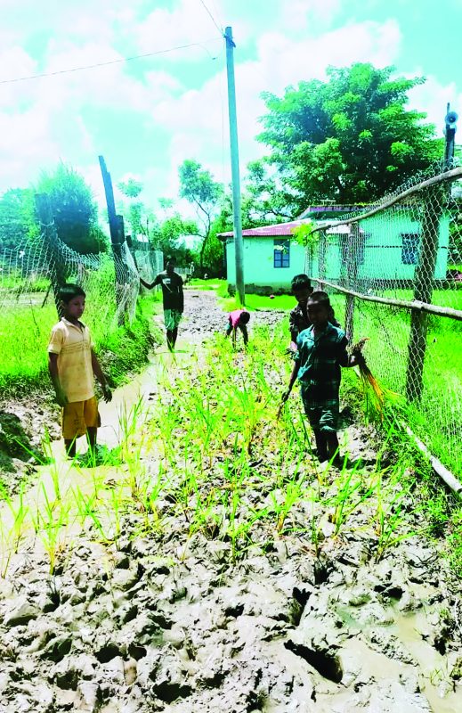 চাম্বলে সড়কে ধানের চারা রোপণ করে প্রতিবাদ – দৈনিক আজাদী