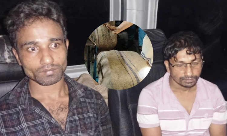 পটিয়ায় র‍্যাবের অভিযানে ৪৪ কেজি গাজা উদ্ধার, আটক ২ – দৈনিক আজাদী