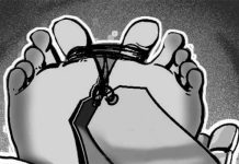 আনন্দবাজারে ডোবায় গাড়িচালকের অর্ধগলিত লাশ