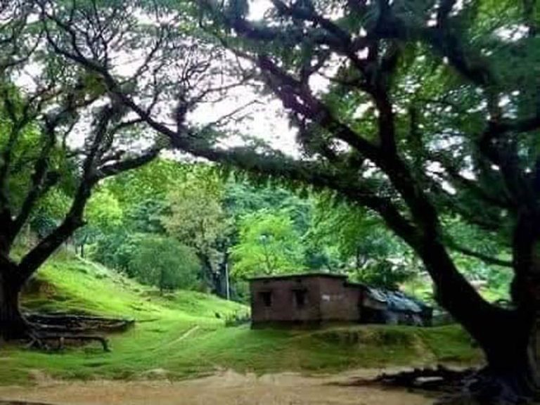জাতিসংঘ পার্ক হচ্ছে সবুজ উদ্যান জাতিসংঘ পার্ক হচ্ছে সবুজ উদ্যান