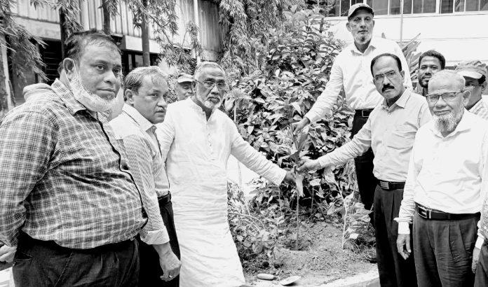 Diamond Cement Plantation