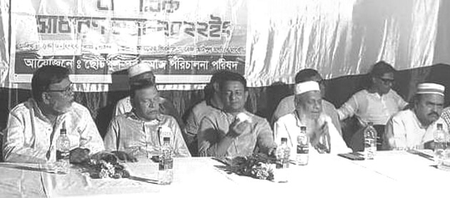 Choto pul Shomaj Shova