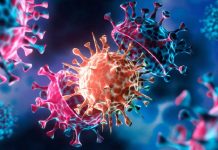 চীনা নাগরিকের করোনার নতুন উপ-ধরন শনাক্ত