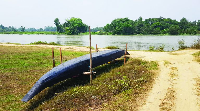 হালদায় মা মাছের আনাগোনা হালদায় মা মাছের আনাগোনা