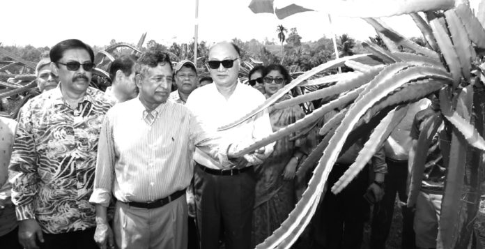 Rangamati agriculture