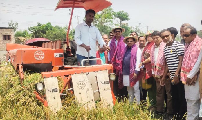 Patiya Huipe News Harvestwer Msine Pic