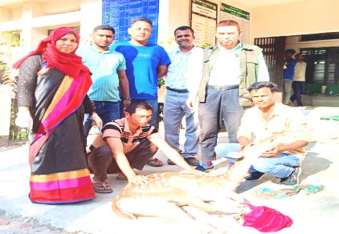 Horin Uddar Sitakundo