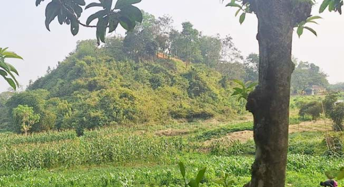 Screenshot 2024-03-09 121140