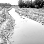 satkania pic 31-05-2024 (1)