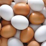 dim-egg