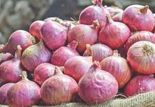 দেশি পেঁয়াজের দাম কমছে