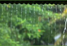 দিনভর মেঘলা আকাশ, বিকালে গুঁড়ি গুঁড়ি বৃষ্টি