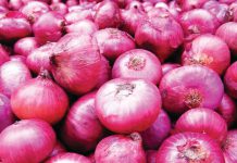 পেঁয়াজের বিপুল সরবরাহ, কমছে দাম