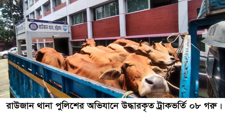 রাউজানে ছিনতাইকৃত ট্রাকসহ ৮ গরু উদ্ধার রাউজানে ছিনতাইকৃত ট্রাকসহ ৮ গরু উদ্ধার