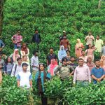 KAPTAI
