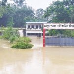 mirsarai bonnay jolabodhota 01