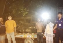 কেইপিজেডে পাহাড়ের গাছ কেটে নিয়ে যাওয়ার সময় ৪ চোর গ্রেপ্তার