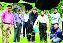 চবিতে বৃক্ষরোপণ কর্মসূচি