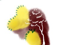 স্যাংশন