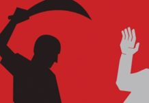 ছোট ভাইয়ের দায়ের কোপে বড় ভাইয়ের মৃত্যু
