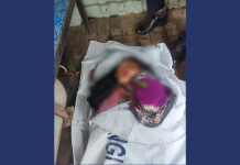 পটিয়ায় মিনিবাস চাপায় পথচারী নারীর মৃত্যু