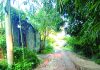 চৌধুরীপাড়া ভাঙা সড়ক দ্রুত সংস্কার করা হোক
