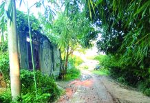চৌধুরীপাড়া ভাঙা সড়ক দ্রুত সংস্কার করা হোক