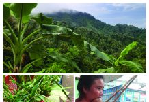 পুতুলী চাকমা