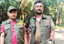 লোহাগাড়ায় অসুস্থ ভুবন চিল উদ্ধার