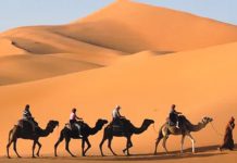 রহস্যময় সাহারা মরুভূমি