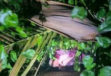 খাগড়াছড়িতে ড্রেন থেকে এক নবজাতক উদ্ধার