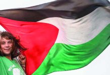 আটক গ্রেটা থুনবার্গের সঙ্গে দুর্ব্যবহার করেছে ইসরায়েলি বাহিনী