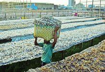 চট্টগ্রামের শুঁটকি পল্লীতে ব্যস্ত শ্রমিকরা