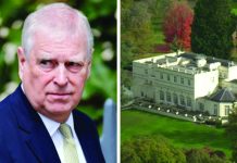 যৌন কেলেঙ্কারিতে রাজার ভাই, হারাচ্ছেন ‘প্রিন্স’ উপাধিসহ যত সুবিধা