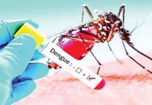 নভেম্বরের শেষেও ডেঙ্গুর প্রকোপ