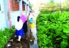 শুষ্ক মৌসুমেও ময়লা পানি মাড়িয়ে যেতে হয় স্কুলে
