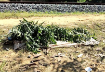 চকরিয়ায় রেললাইনে অজ্ঞাত ব্যক্তির খণ্ডিত লাশ