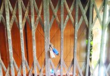 বিএসবিওএর কার্যালয়ে সন্ত্রাসী মহড়া, তালা