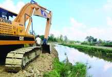 চলতি মৌসুমে চাষের আওতায় আসছে ১২০০ একর জমি