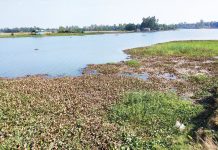 ঘুচবে পানির ঘাটতি, ১০ হাজার একর জমিতে হবে বছরে তিনবার চাষ