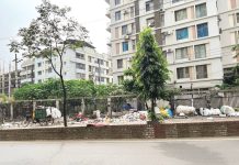 মুরাদপুর-চকবাজার সড়কের পাশে ময়লার ভাগাড়, দুর্ভোগ চরমে