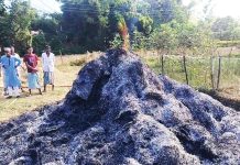 ফটিকছড়িতে আবারো কাটা ধানে আগুন