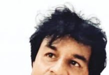 মেঘের ভেলায় প্রজাপতি