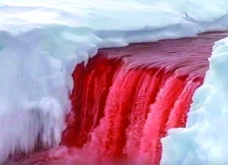 অ্যান্টার্কটিকার রহস্যময় ব্লাড ফলস