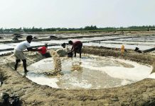 উৎপাদন মৌসুম শুরু, তবে মাঠে নেই লবণ চাষিরা