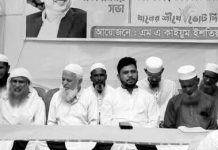 ধানের শীষের বিজয়েই গণতন্ত্র পুনরুদ্ধার সম্ভব