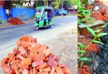 মবিল ঢেলে বদলানো হচ্ছে নিম্নমানের ইটের রং!