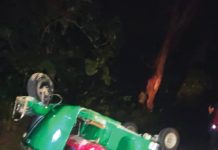 রাঙামাটিতে টেক্সিতে হাতির হামলা, দুই নারীর মৃত্যু