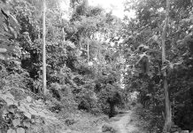 বৃষ্টিতে বিলীনের ৫ মাস পরেও সংস্কার হয়নি সড়ক, দুর্ভোগ