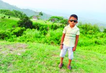 বিয়ে বাড়িতে আসা মাইক্রোবাস কেড়ে নিল শিশুর জীবন